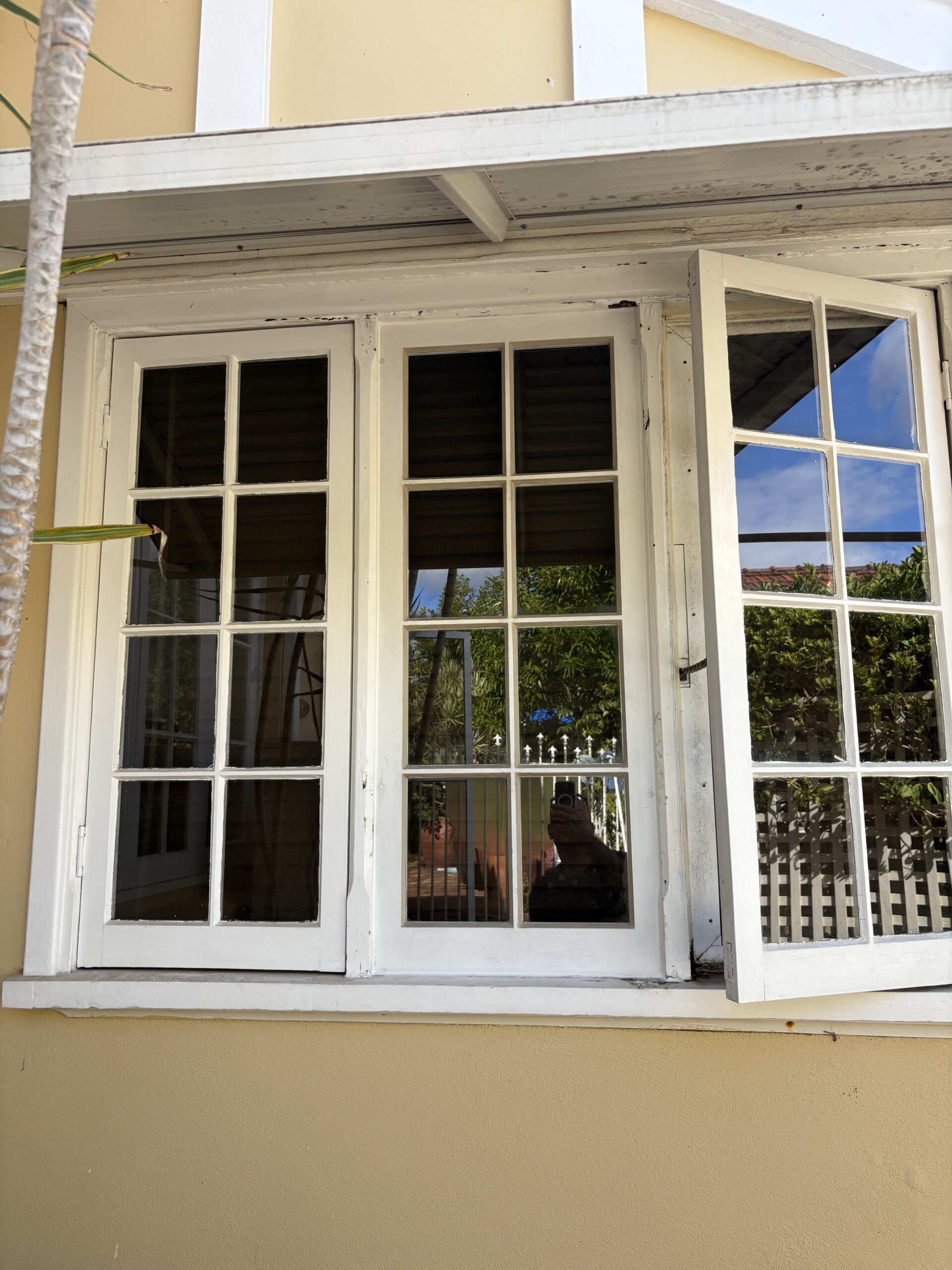 external view triple timber windows